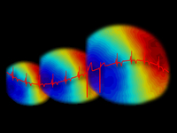 Cardiac Arrhythmia Mechanisms GRC