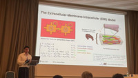 Person hält Vortrag über das Extrazellular-Membran-Intrazellular-Modell.