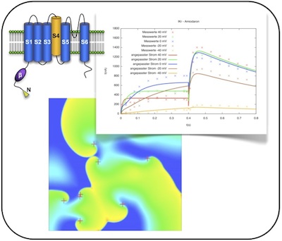 IMG PRJ AF-Mechanisms 2014-09-17