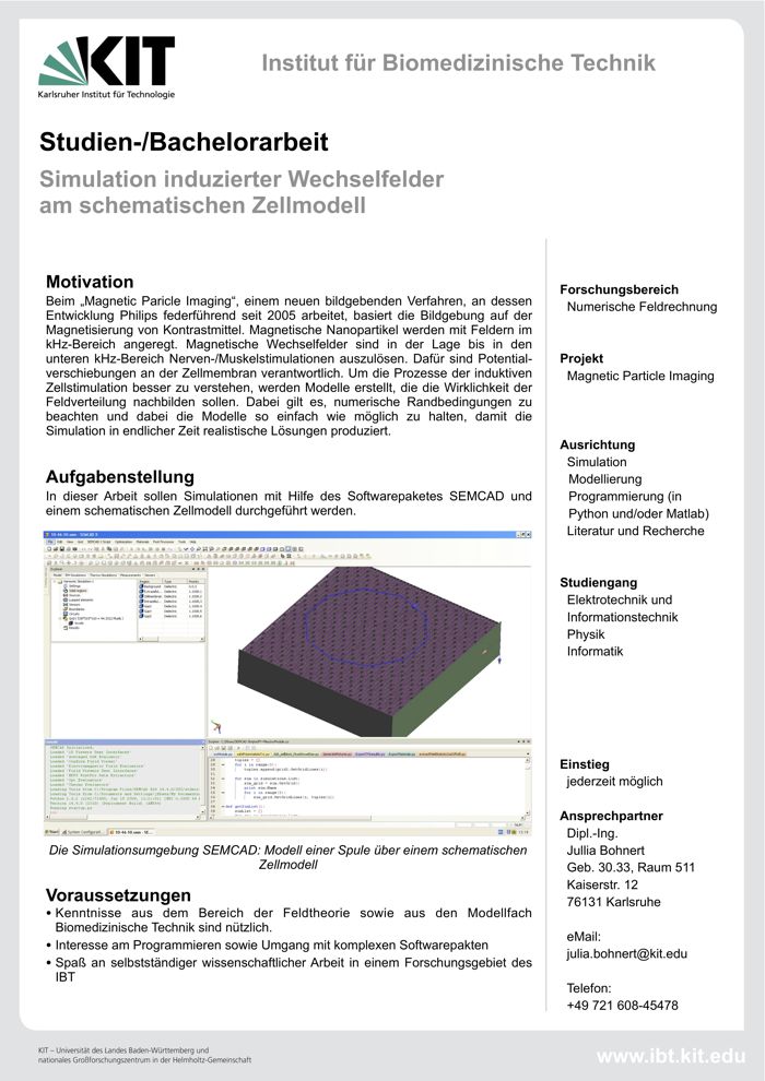 Induzierte Kreissrtöme