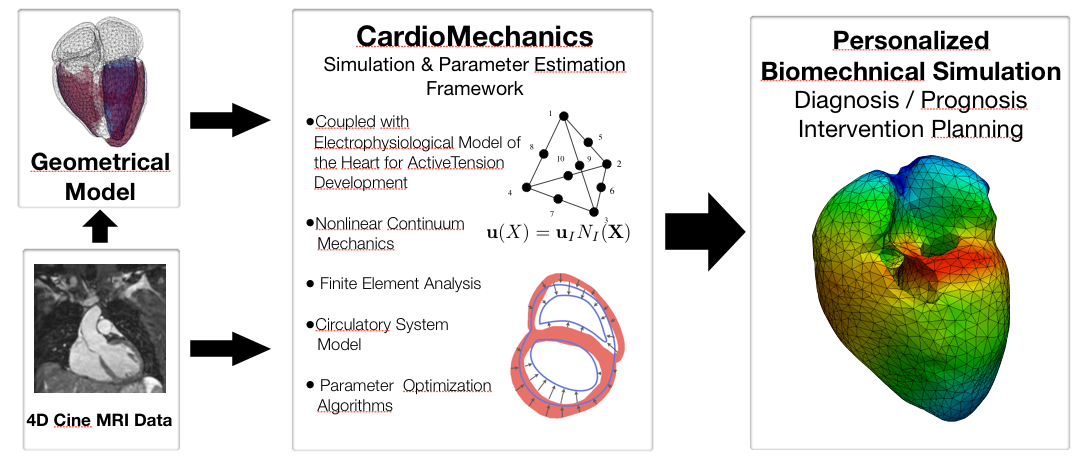 Patient-Specific Biomechanical Modeling of the Heart