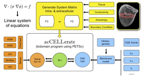 PRJ_2011-02-22_G_Seemann_aclt.jpg