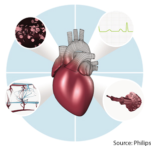 Multiscale Heart 2010-04-08